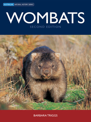 cover image of Wombats